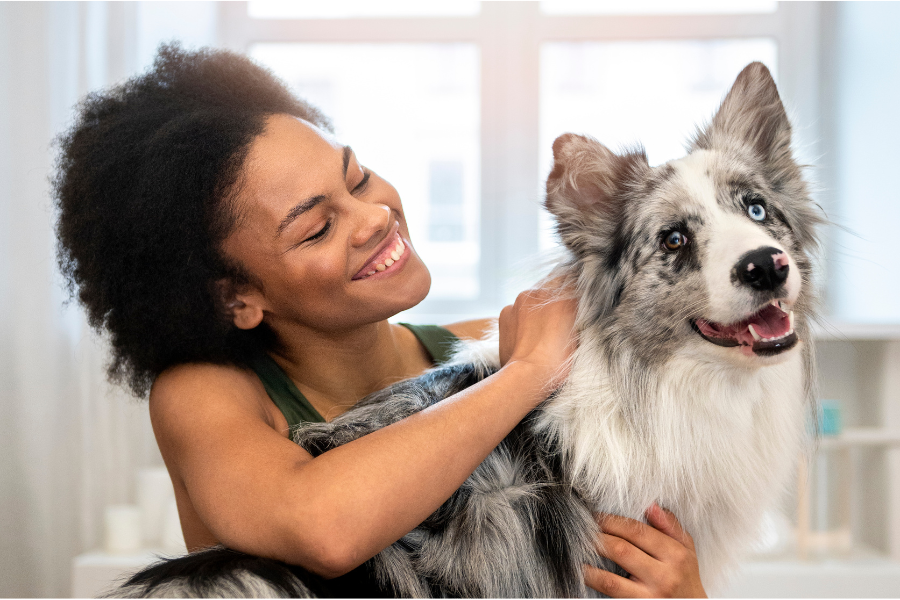 Comment calmer un chien hyperactif ? Guide complet et astuces 2026