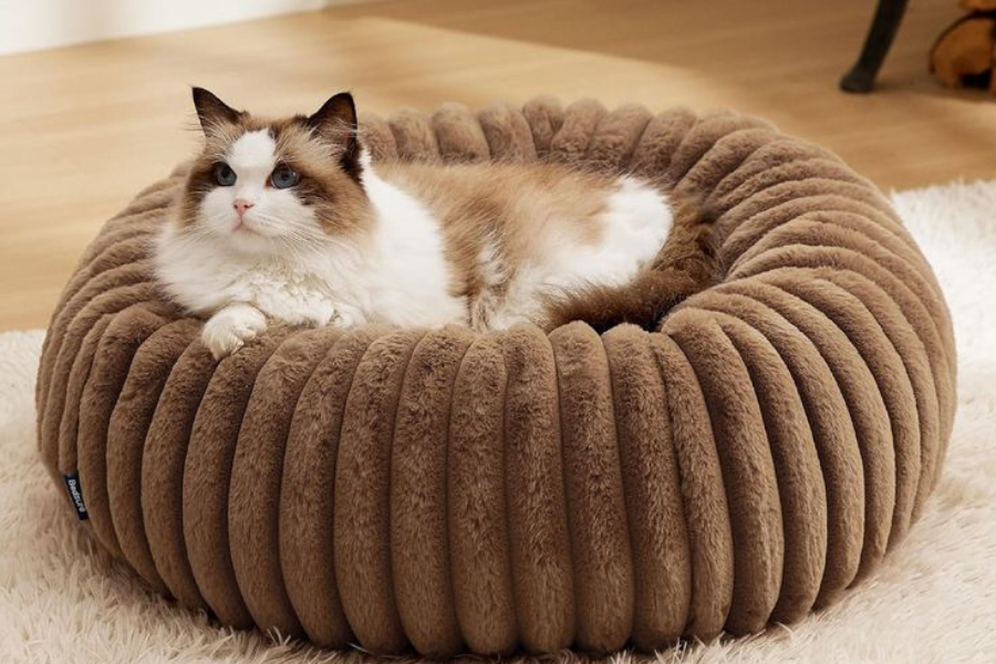 Top 5 des paniers les plus confortables pour chats exigeants en 2026
