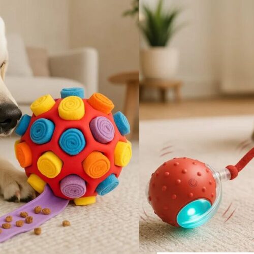 🦴 Jouets connectés pour chiens et chats 2026 | Top produits & bienfaits