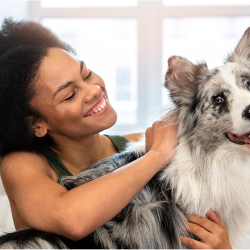Comment calmer un chien hyperactif ? Guide complet et astuces 2026