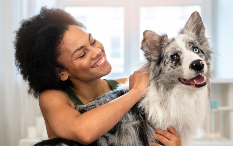 Comment calmer un chien hyperactif ? Guide complet et astuces 2026