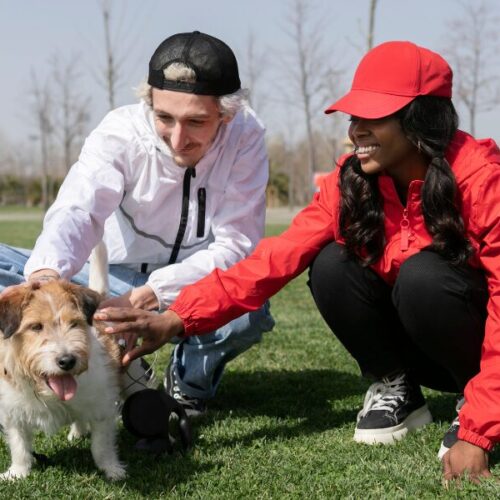 Les 7 erreurs à éviter dans l’éducation d’un chiot (guide complet de dressage)