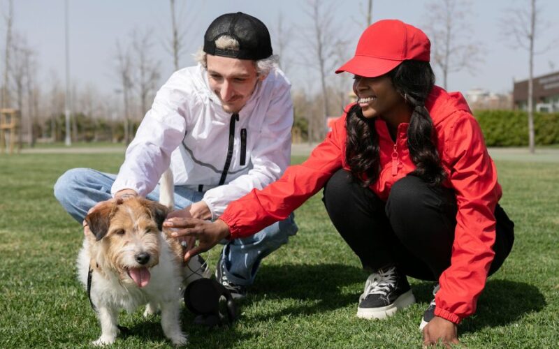 Les 7 erreurs à éviter dans l’éducation d’un chiot (guide complet de dressage)